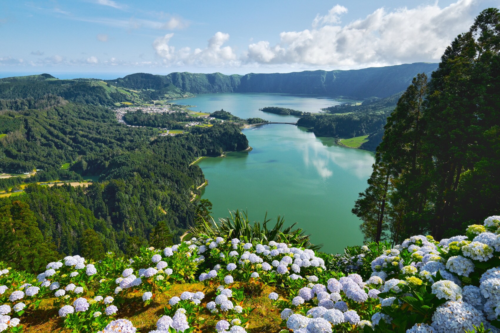 Zwei miteinander verbundene Seen in einer bewaldeten Berglandschaft, im Vordergrund fliederfarbene Blumen Zwei miteinander verbundene Seen in einer bewaldeten Berglandschaft, im Vordergrund fliederfarbene Blumen
