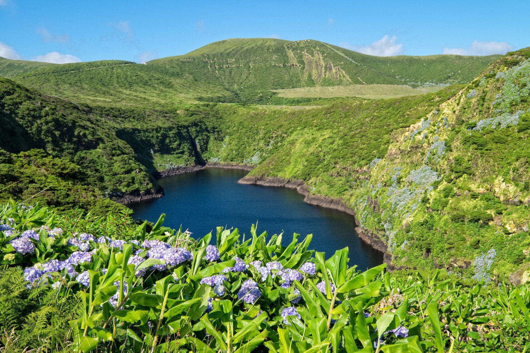 Grün bewachsene Hügellandschaft mit einem Bergsee mittig und fliederfarbenen Blumen im Vordergrund Grün bewachsene Hügellandschaft mit einem Bergsee mittig und fliederfarbenen Blumen im Vordergrund