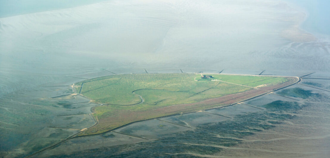 Luftaufnahme einer Hallig im Wattenmeer