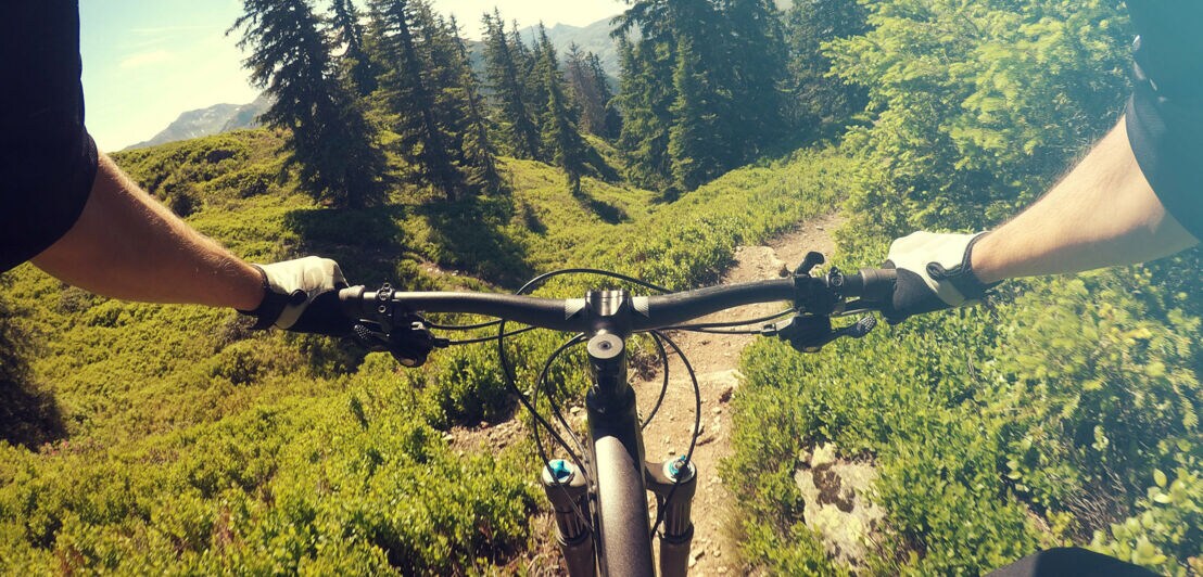 Blick über den Lenker eines Mountainbikes bei einer Fahrt in den Alpen