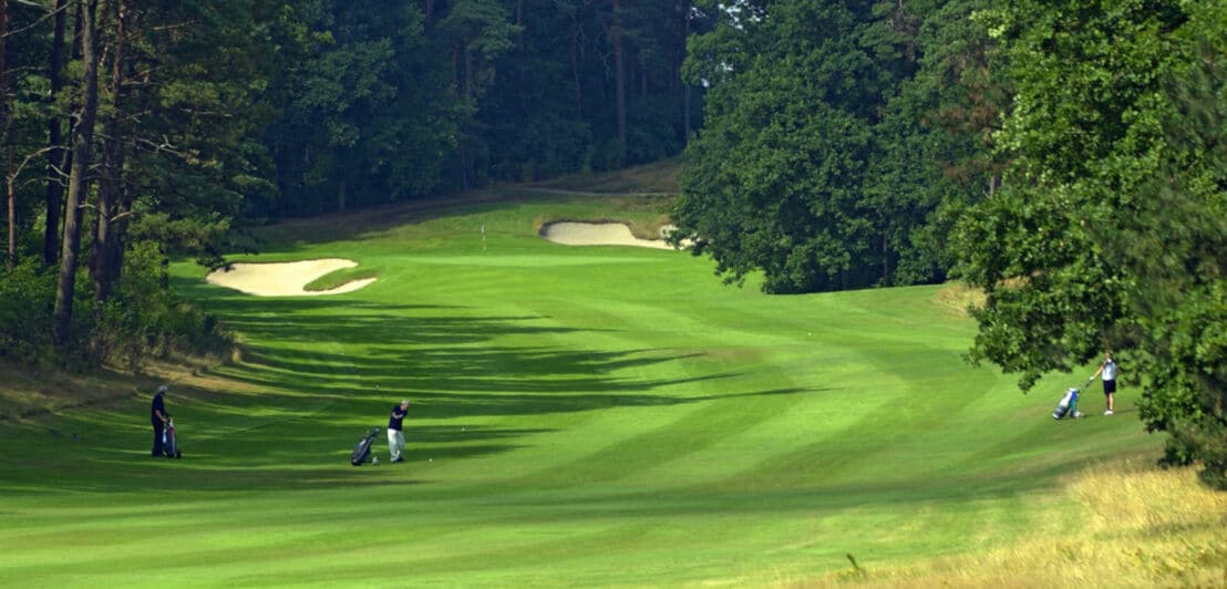 Drei Golfer:innen auf einem Grün des Hamburger Golf-Clubs am Falkenstein