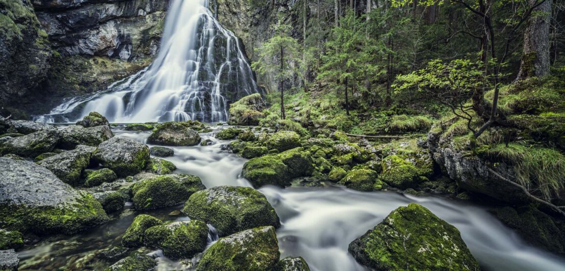 Ein Wasserfall in einem Wald