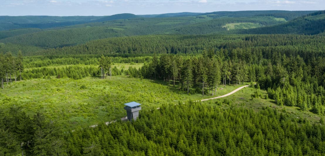 Ein Aussichtsturm steht inmitten eines riesigen Waldgebiets im Thüringer Wald