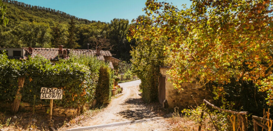 Straße mit flachen Wohnhäusern in einem Weinbaugebiet der Toskana