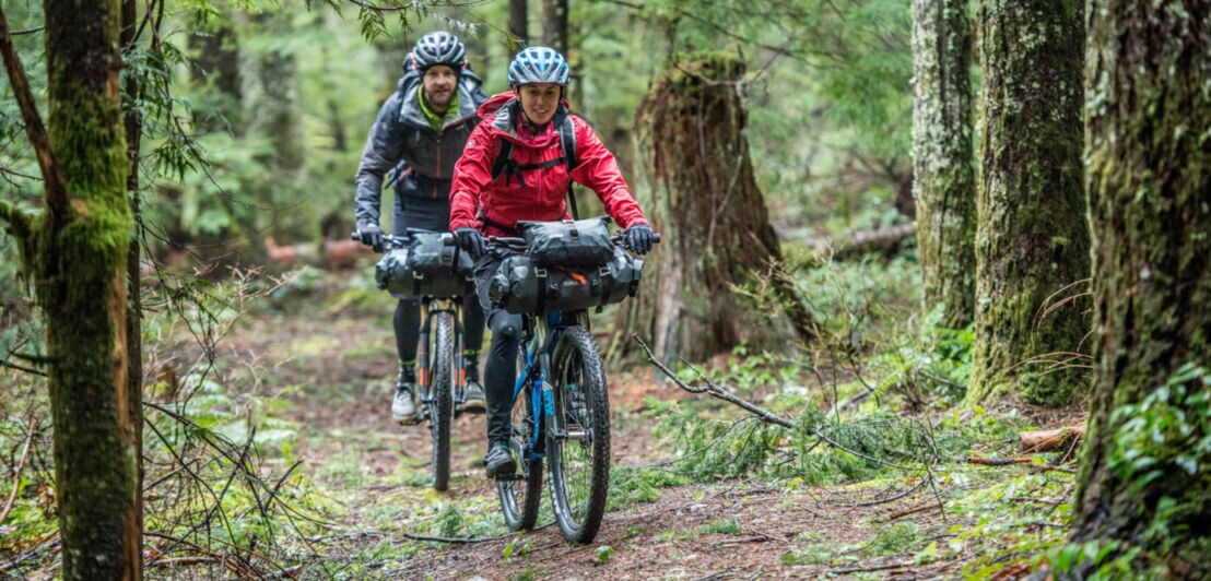 Zwei Mountainbiker mit Fahrradlenkertaschen auf einem Waldweg
