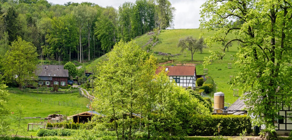 Grüne Landschaft bei Bergisch Gladbach mit Landhäusern