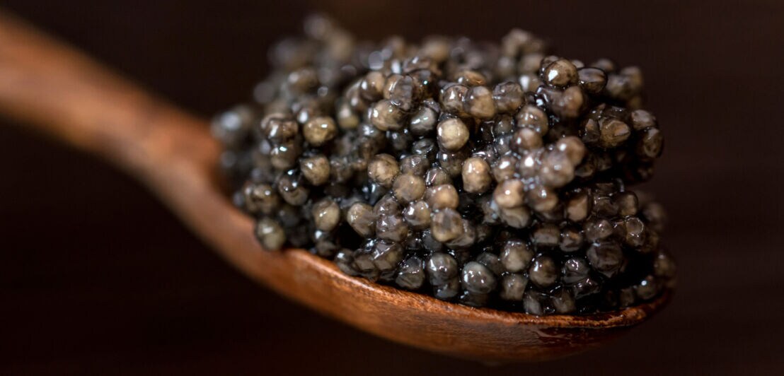 Grauer Kaviar auf einem Holzlöffel