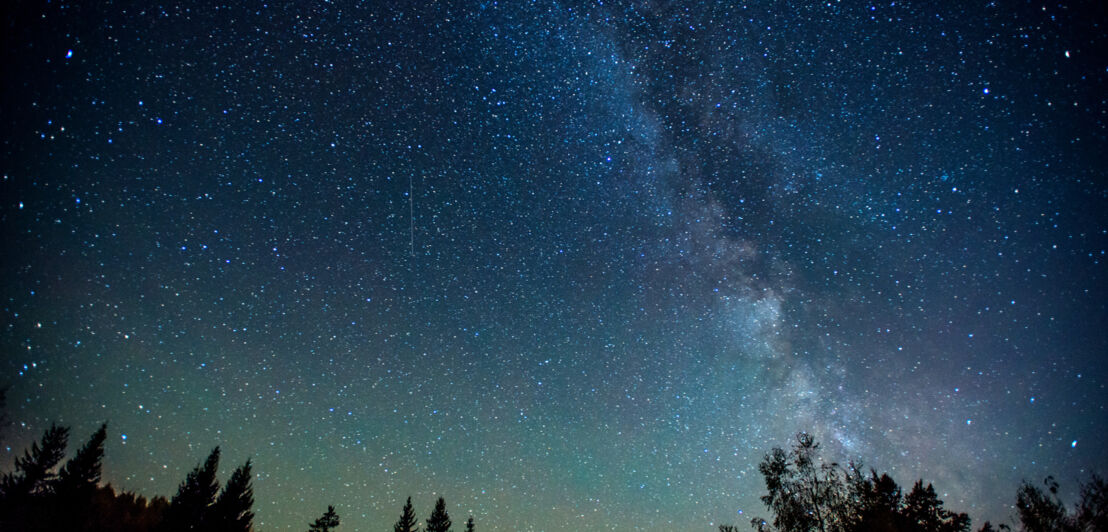 Nächtlicher Sternenhimmel mit Milchstraße, im Vordergrund Tannen