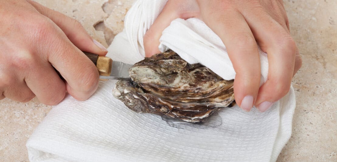 Eine Auster liegt auf einem weißen Handtuch und wird von der linken Hand gehalten, während die rechte Hand mit einem Messer die Muschel öffnet