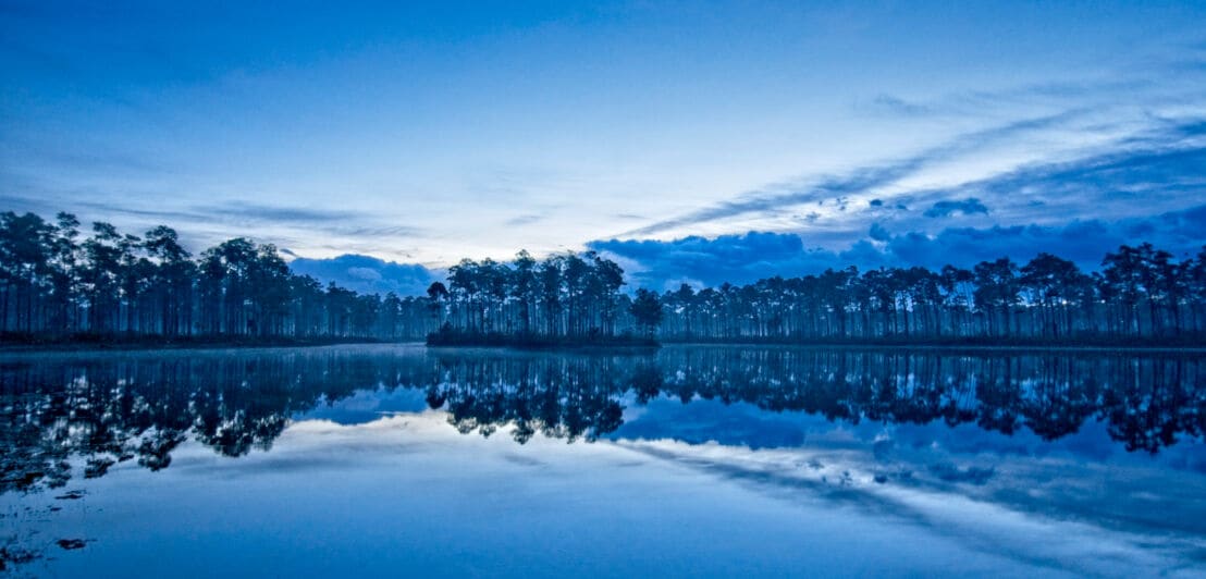 Blaue Stunde am Long Pine Key lake / Florida Everglades, Gewässer nicht in der Stadt, sondern Natur