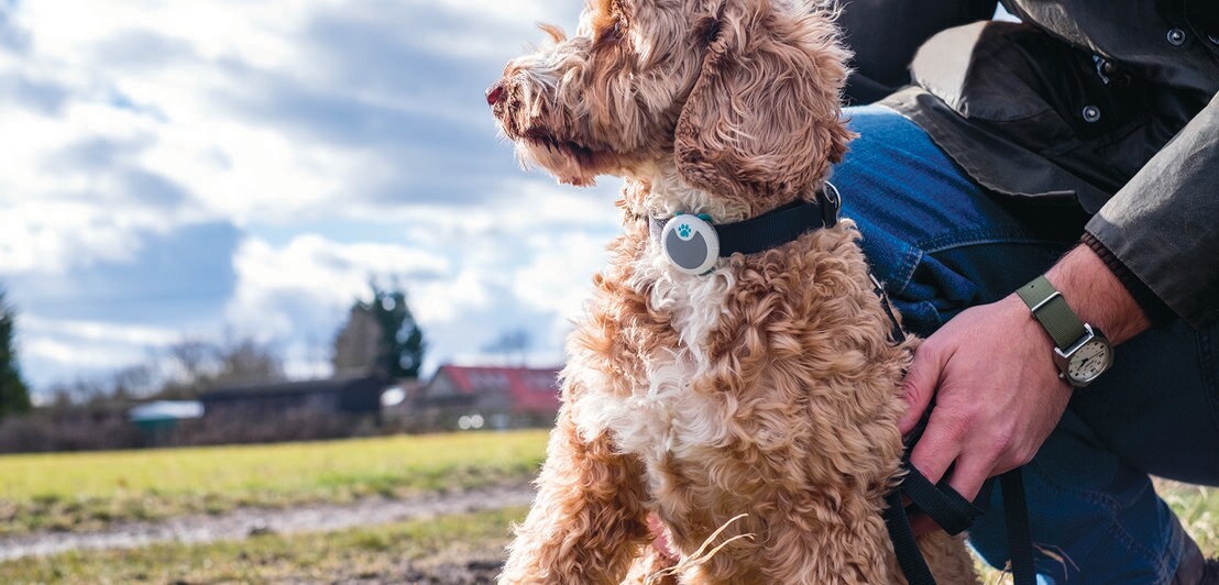 Eine Person kniet auf einer Wiese neben einem Hund, der einen Tracker am Halsband trägt
