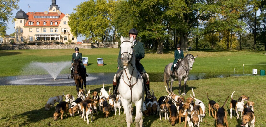 Drei Reiter auf Pferden umgeben von Jagdhunden im Schlossgarten
