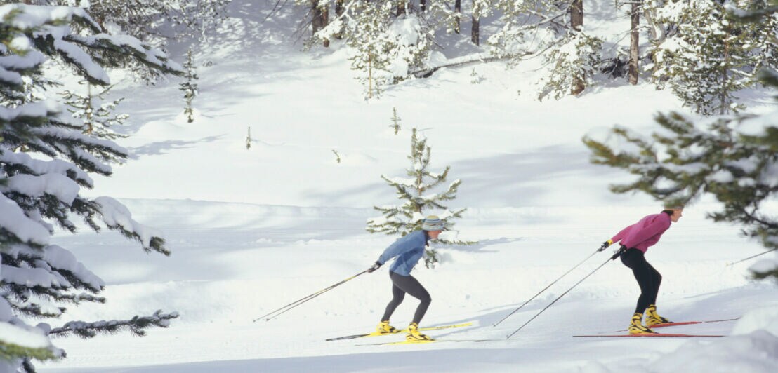 Zwei Langläufer auf Ski im schneebedeckten Wald
