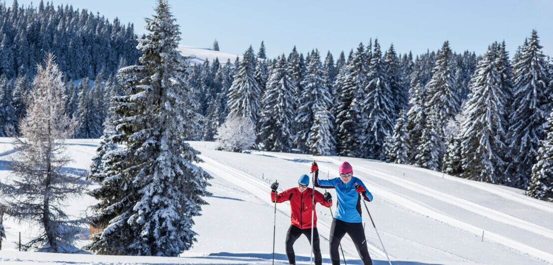 Zwei Skilangläufer skaten in hügeliger Winterlandschaft