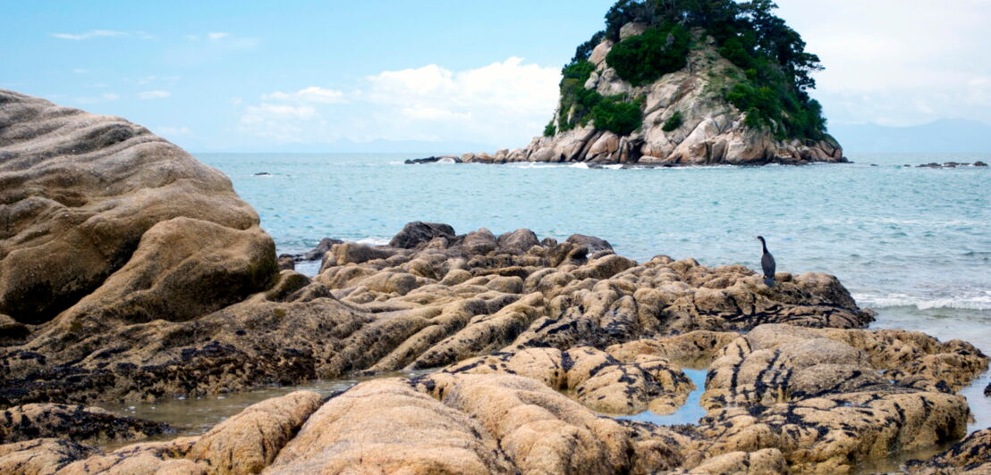 Ein Graureiher sitzt auf einem Felsen, im Hintergrund eine kleine Felseninsel im Meer