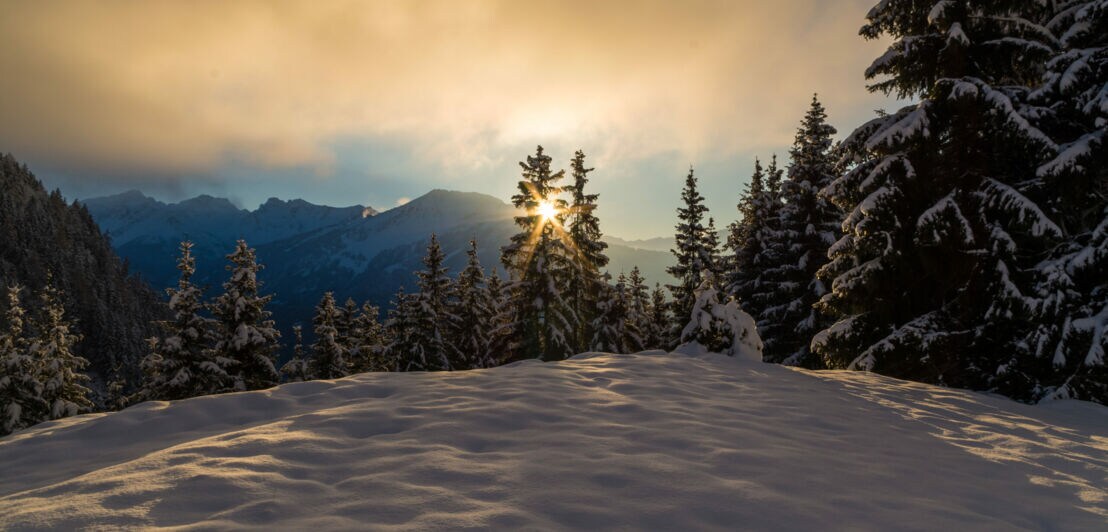 Eine verschneite Bergwelt mit Bäumen bei Sonnenuntergang
