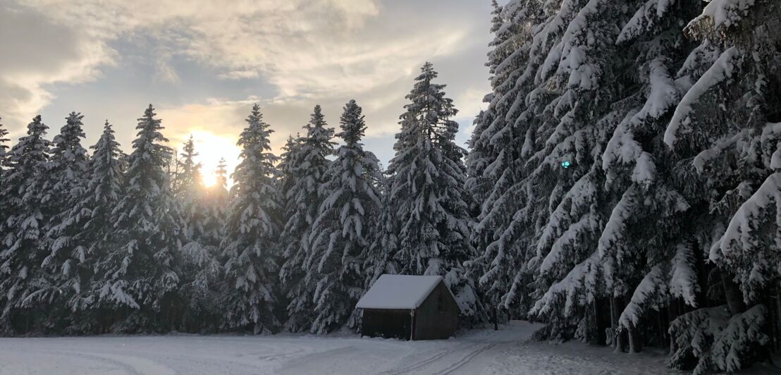 Eine einsame Holzhütte vor einer verschneiten Waldlandschaft