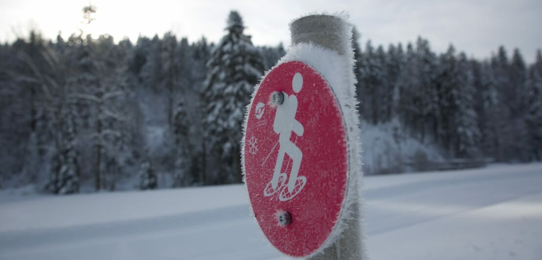 Eine runde rote und verreiste Markierung einer Schneeschuh-Route