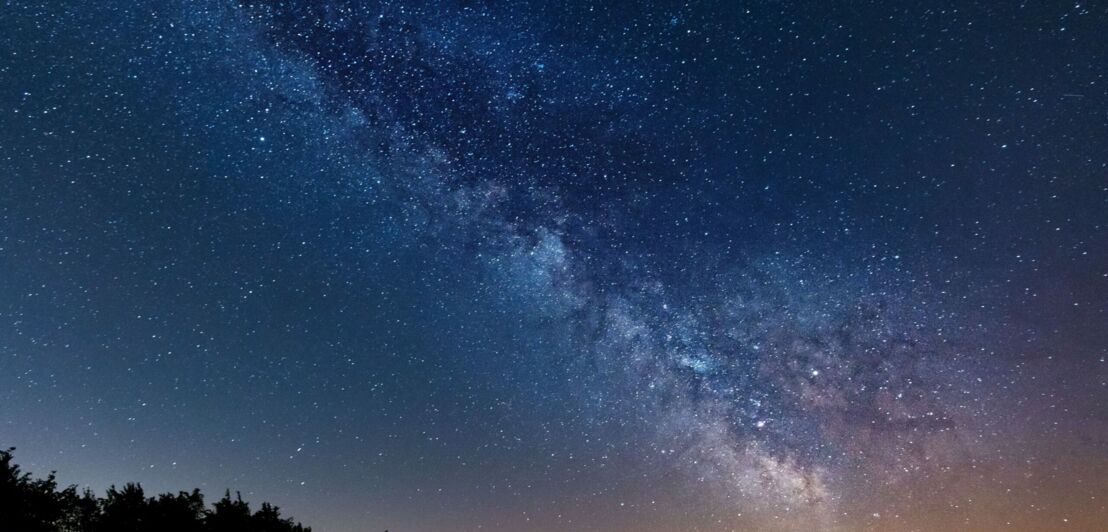 Nächtlicher Sternenhimmel mit Milchstraße über Wald
