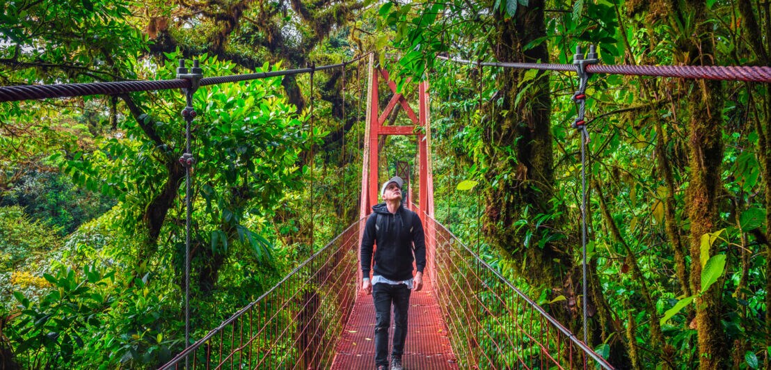 Mann geht über eine Hängebrücke, rechts und links Wald