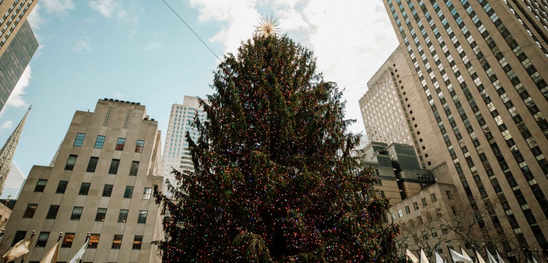 Großer Weihnachtsbaum und umliegende Gebäude am Rockefeller Center in Manhattan