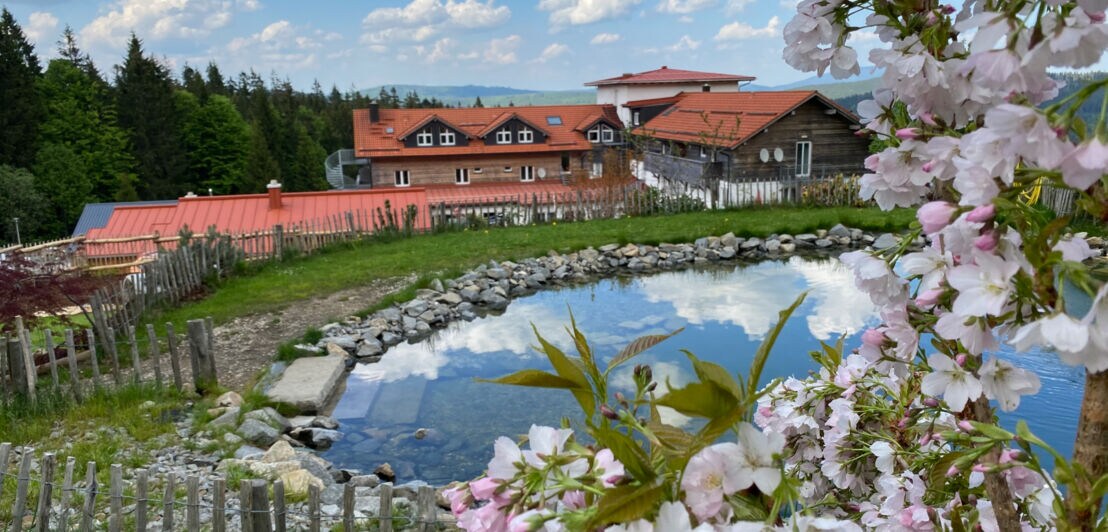 Blick über einen Badeteich auf ein Landhotel umgeben von Wald, im Vordergrund Blumen