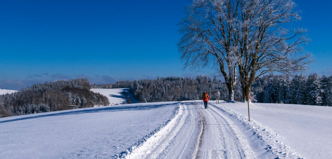 Eine Person wandert durch eine schneebedeckte Landschaft