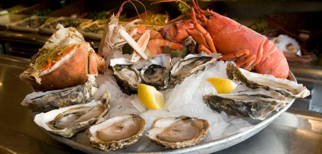 Meeresfrüchte-Teller mit Austern und Hummer auf Eis