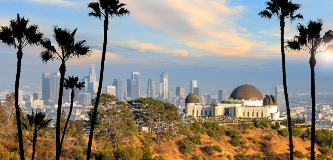 Das Griffith-Observatorium vor der Skyline von Los Angeles, im Vordergrund Palmen