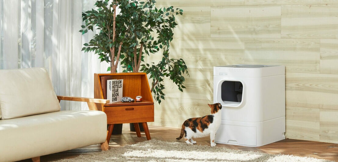 Eine etwa Waschmaschinen-große selbstreinigende weiße Katzentoilette, vor der eine rot-schwarz gefleckte Katze in einem skandinavisch eingerichteten Wohnzimmer steht