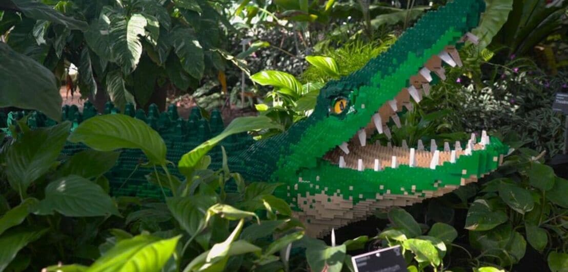 Ein Krokodil aus Plastikspielsteinen.