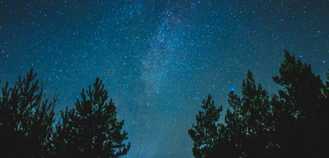 Ein schwarz-blau schimmernder Nachthimmel mit Sternen, am Rand dunkle Bäume