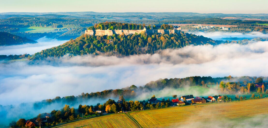 Blick auf die Festung Königstein im morgendlichen Nebel