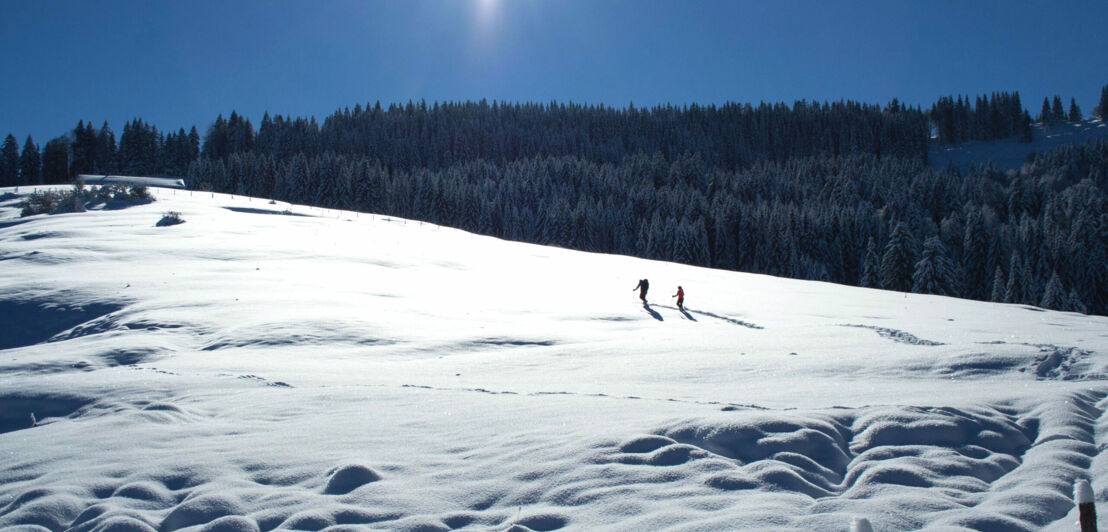 Zwei Menschen wandern über einen verschneiten Hügel.