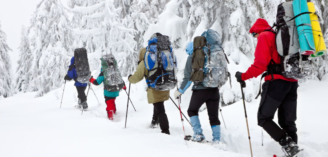 Eine Gruppe von fünf Personen mit Rucksäcken und Ausrüstung wandert durch den Schnee