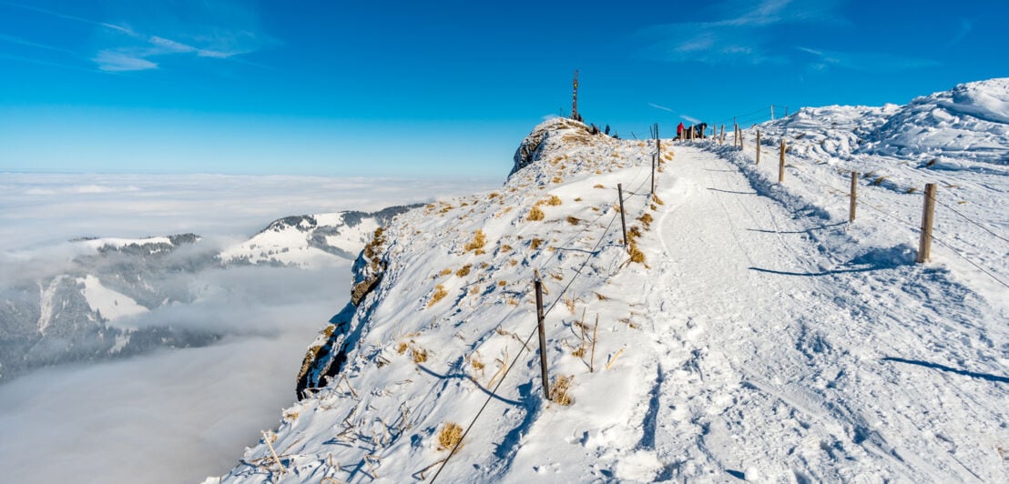 Der Weg zum Gipfel des Hochgrat.