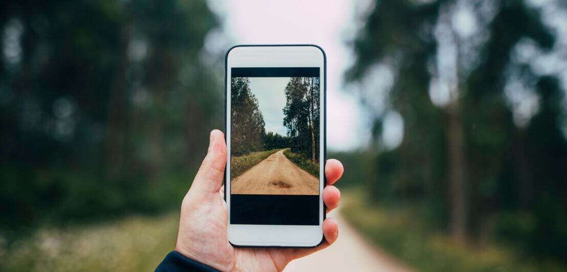 Eine Hand hält ein Smartphone, auf dem ein Waldweg zu sehen ist, inmitten der Natur