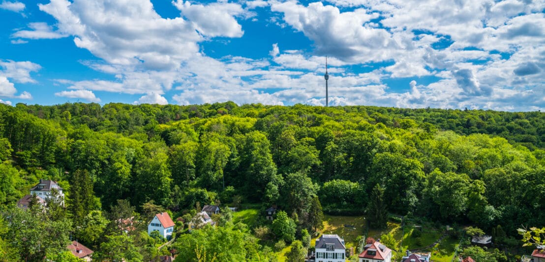 Panoramaaufnahme eines großen Waldgebietes mit freistehenden Häusern im Vordergrund, am Horizont ragt ein Fernsehturm in den Himmel