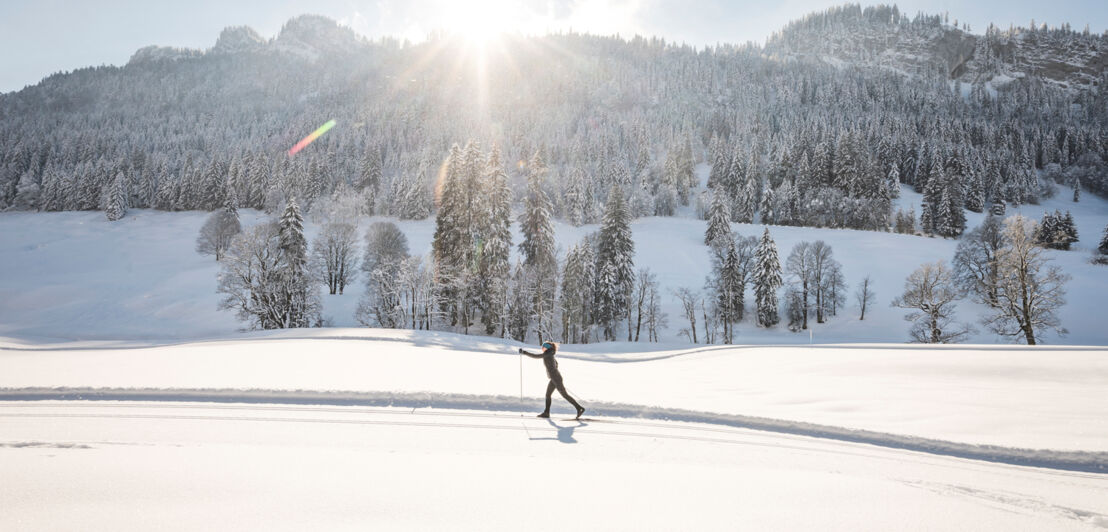 Eine Person beim Langlaufen, im Hintergrund schneebedeckter Wald