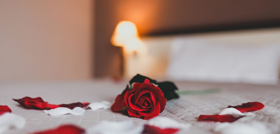 Rose auf einem Bett in einem Hotelzimmer