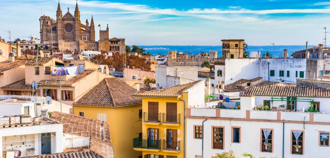 Blick auf die Altstadt von Palma de Mallorca