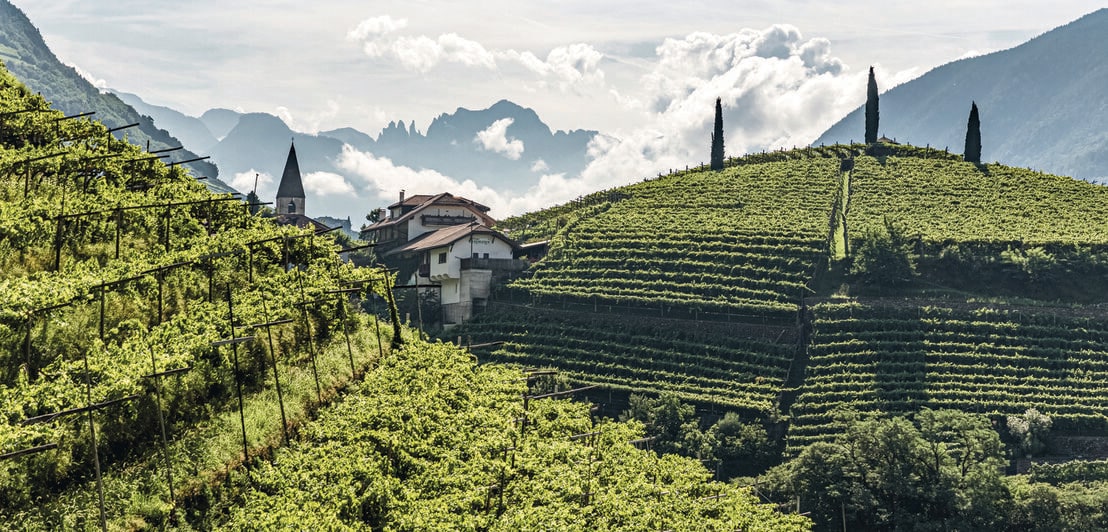 Berglandschaft mit Weinreben und einem kleinen Dorf im Hintergrund