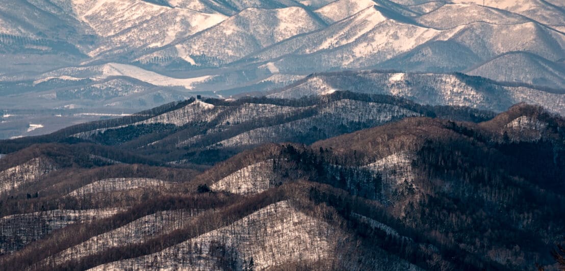 Landschaftspanorama mit verschneiten und bewaldeten Hügeln vor einer schneebedeckten Gebirgskette im Hintergrund