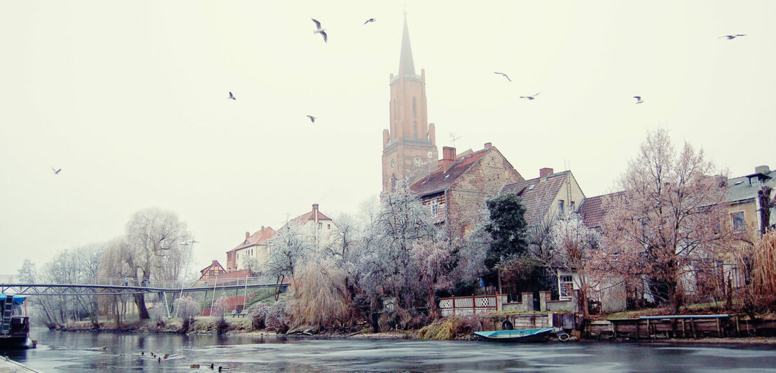 Ein See mit Schwänen und Enten, im Hintergrund Häuser und ein Kirchturm