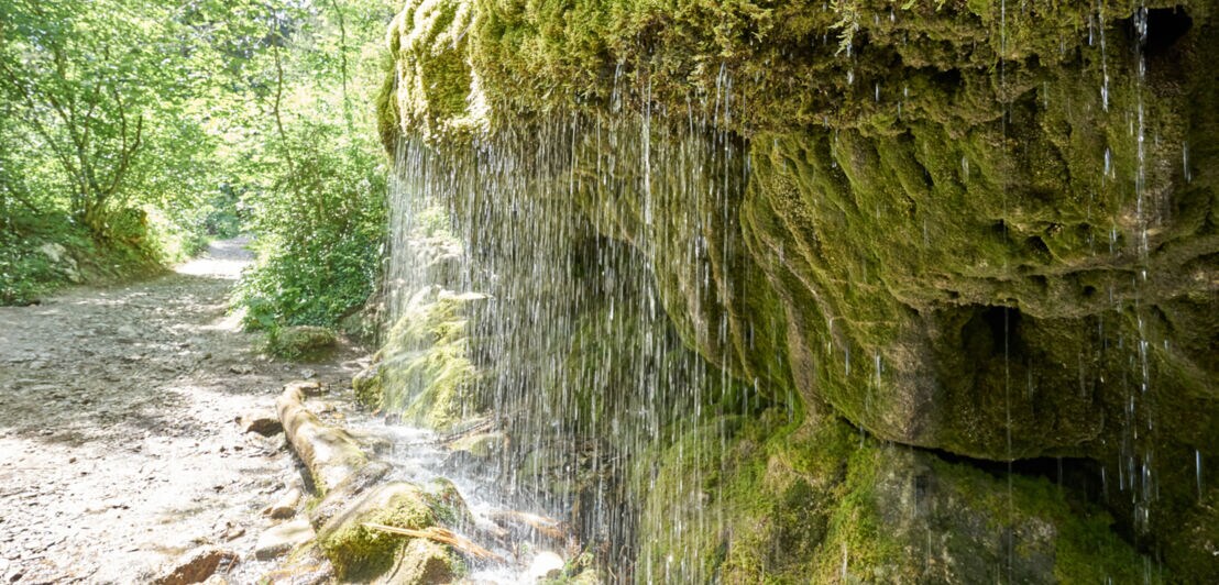 Ein Wasserfall fließt über einen moosigen Felsen
