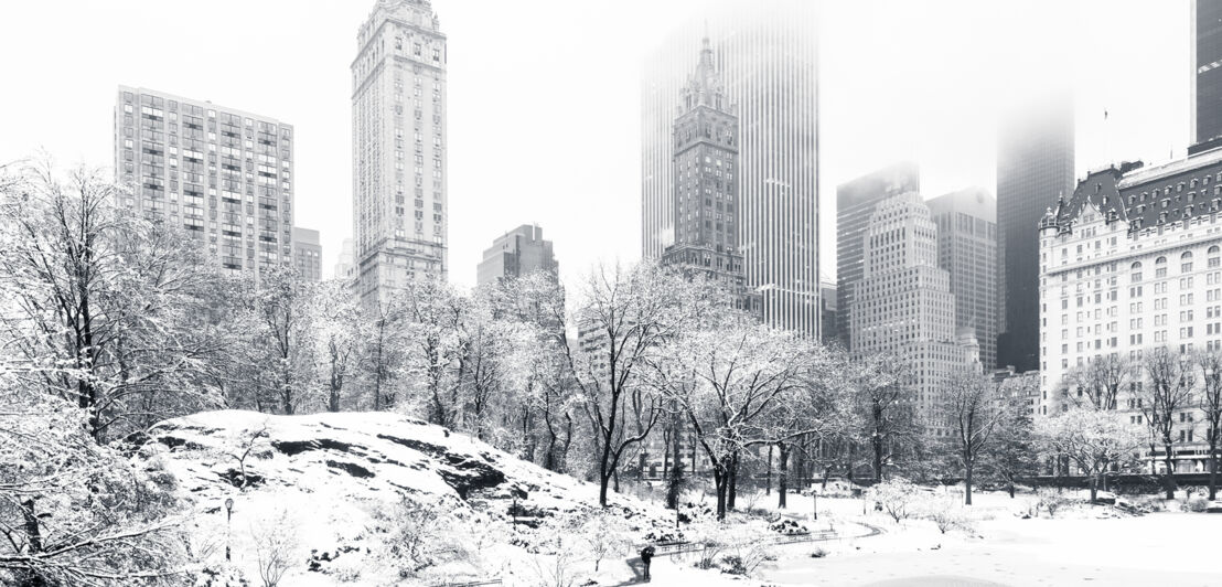 Der Central Park in New York als Schwarz-Weiß-Fotografie