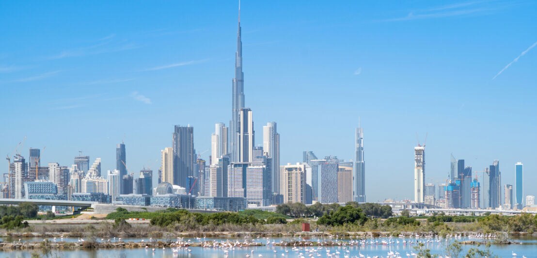 Die Skyline von Dubai, davor ein Gewässer mit Flamingos