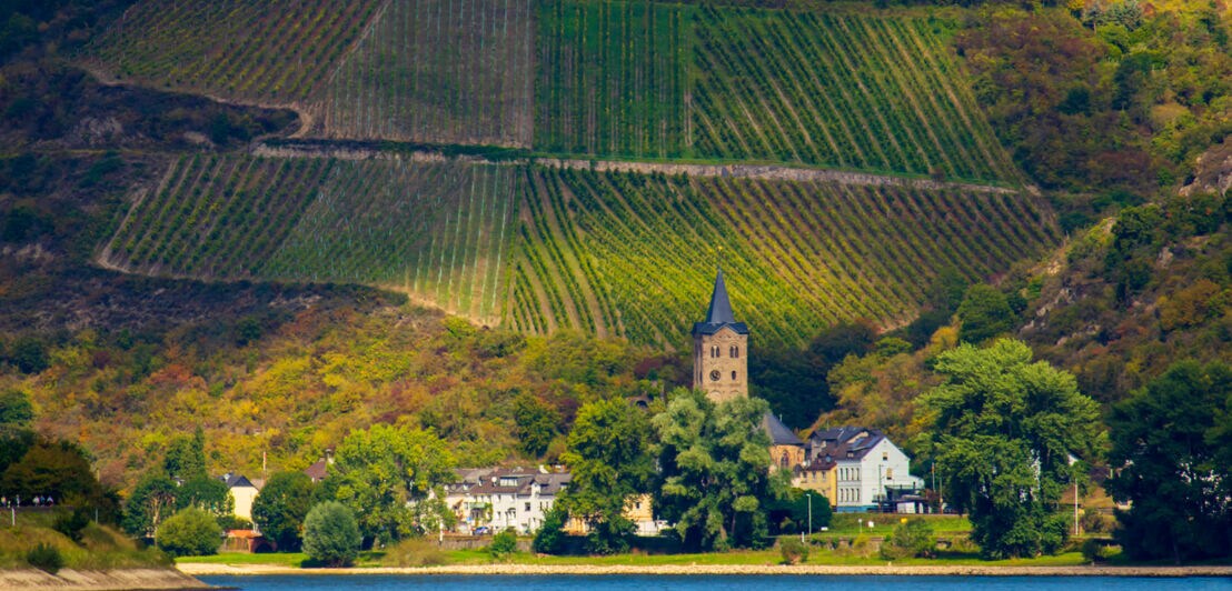Ein Kirchturm vor einem terrassierten Hang im oberen Mittelrheintal.