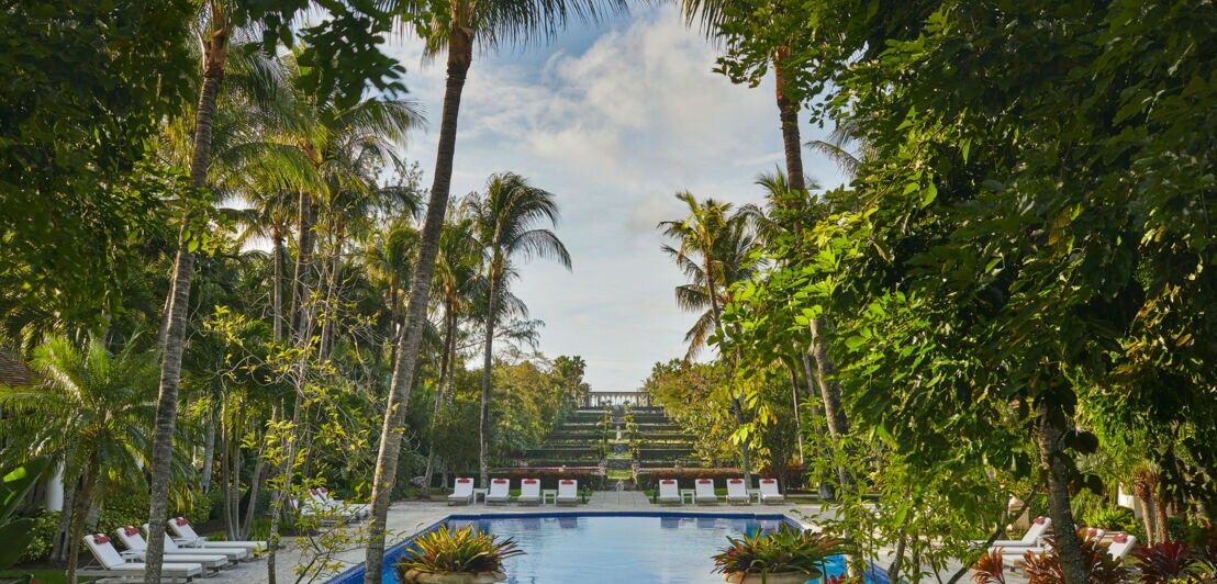 Ein quadratischer Pool umgeben von vielen Palmen und Sträuchern.