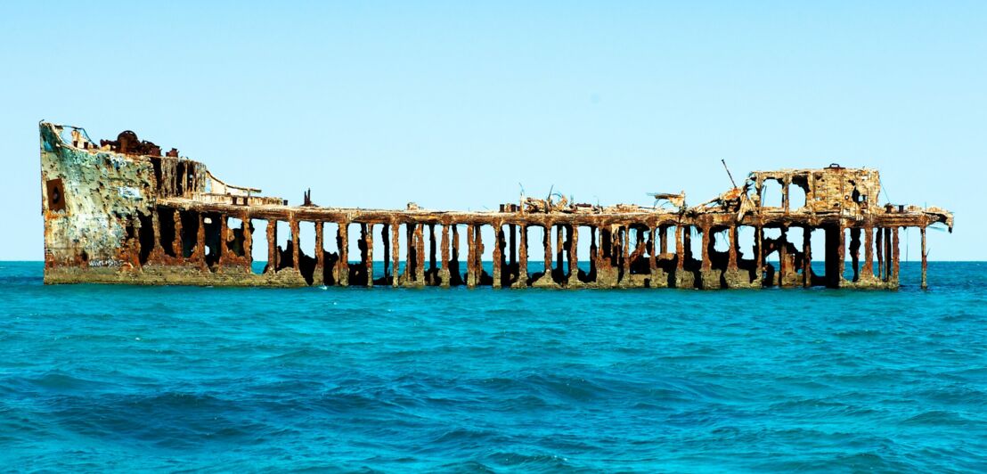 Das Schiffswrack der S. S. Sapona ragt aus dem Wasser vor der Bahamainsel Bimini.